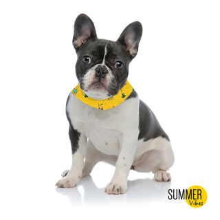 Summer Vibes Bandana refrescante para cães