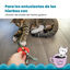 Outward Hound Catstages Kitty Chew Vermelha Brinquedo Roda Mordedora para gatos, , large Indicador imagem número 4