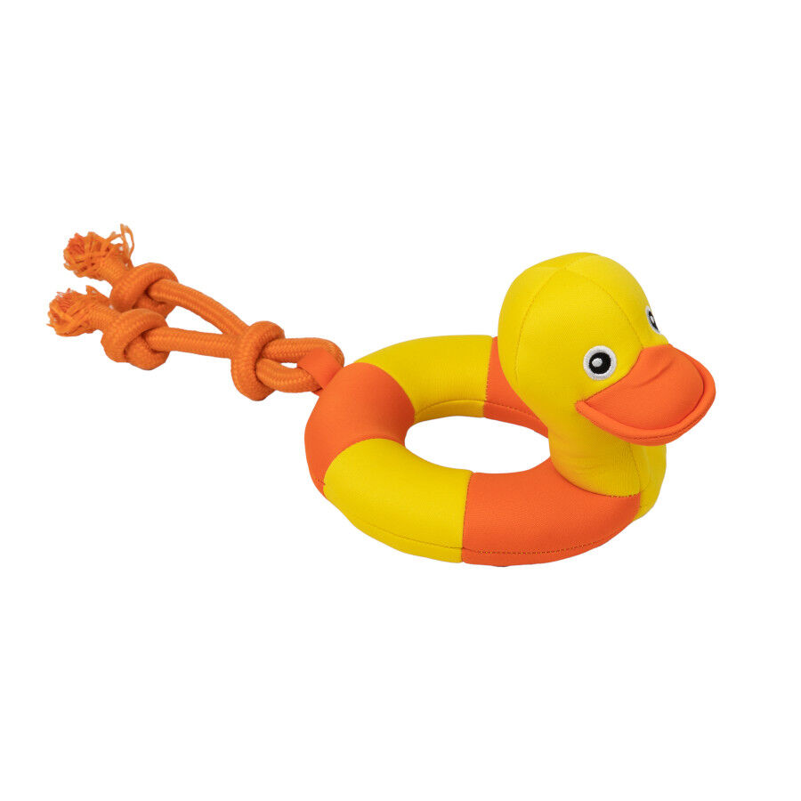 Pato flutuante para c&atilde;es, , large Imagem n&uacute;mero 3