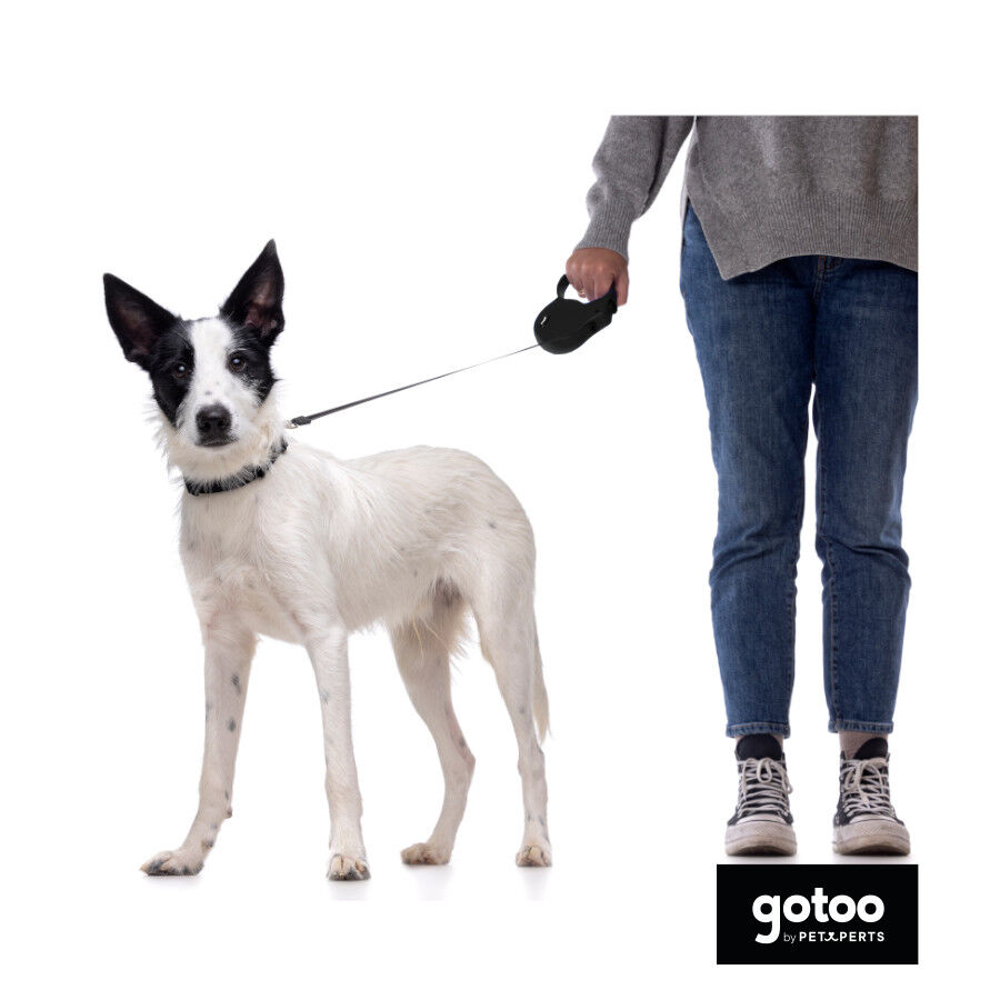 Gotoo Trela extens&iacute;vel preta para c&atilde;es, , large Imagem n&uacute;mero 3