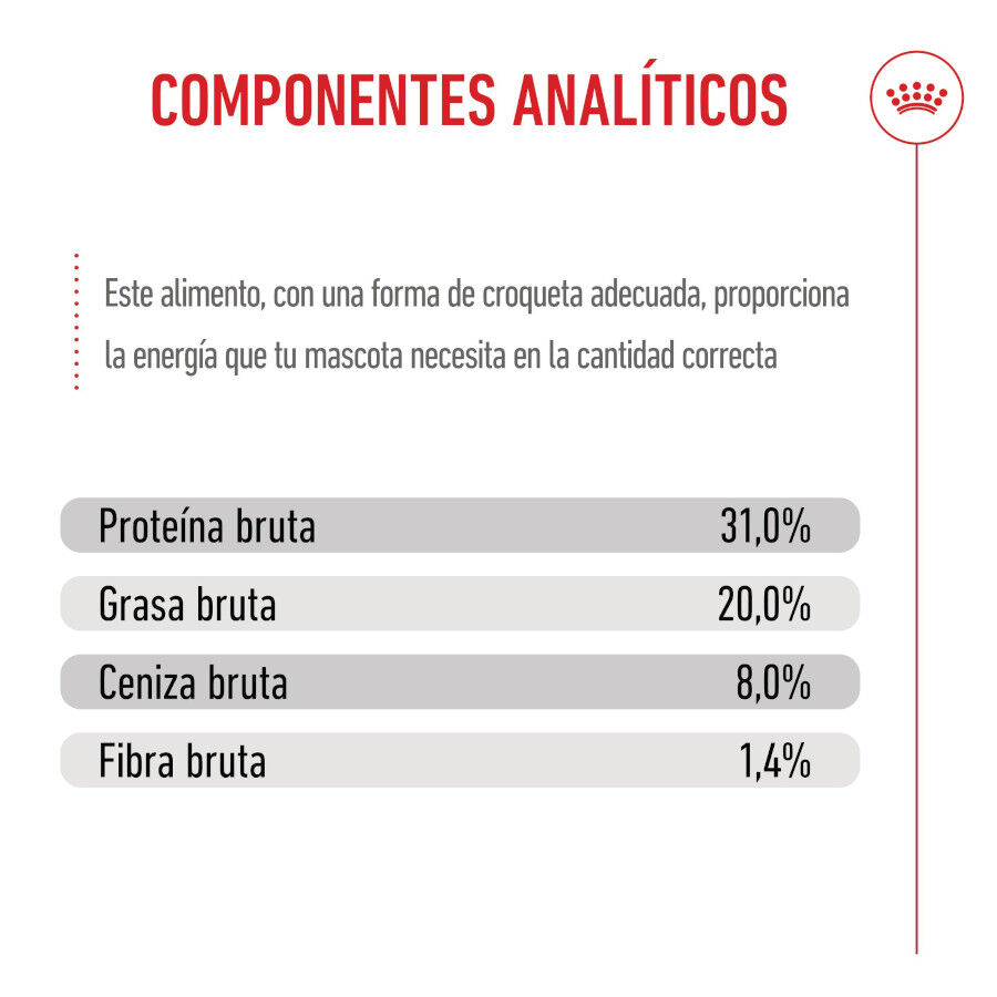 4 kg Royal Canin Mini Puppy ra&ccedil;&atilde;o para c&atilde;es, , large Imagem n&uacute;mero 9