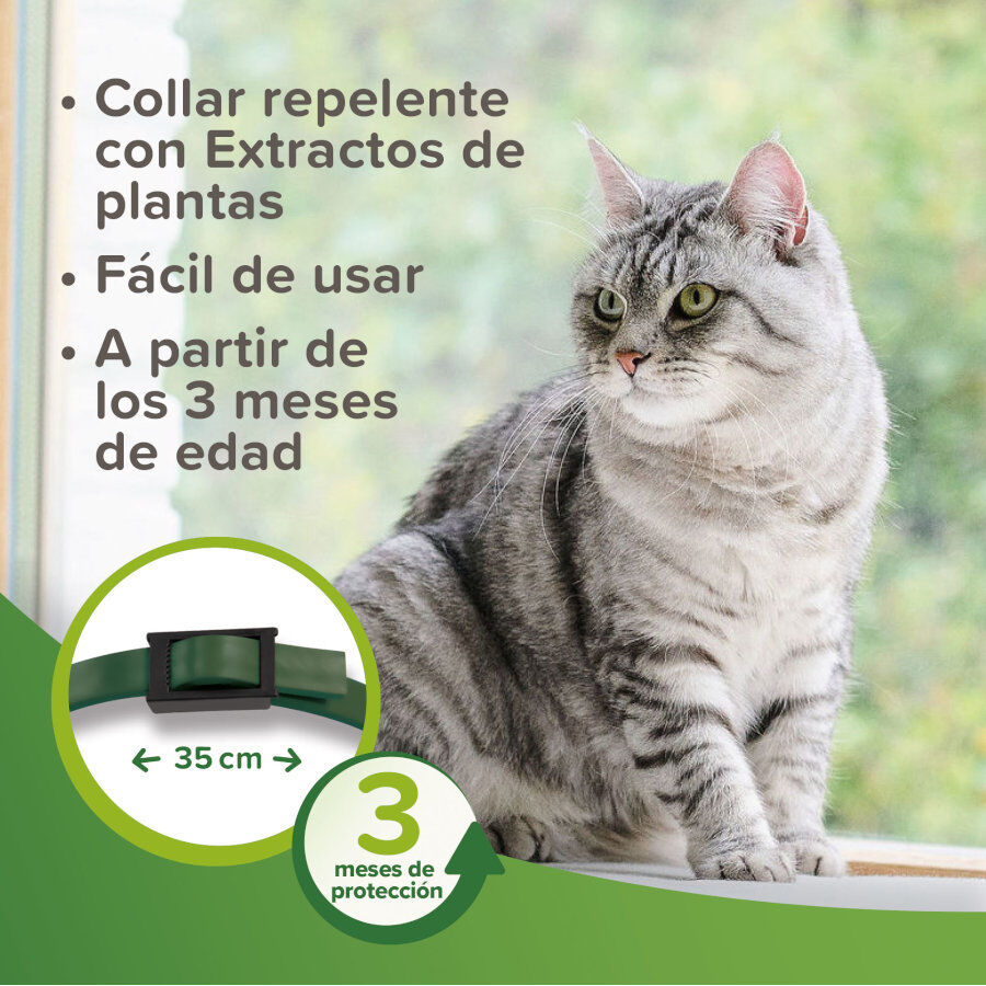 Beaphar Bio Band coleira repelente para gatos, , large Imagem n&uacute;mero 3