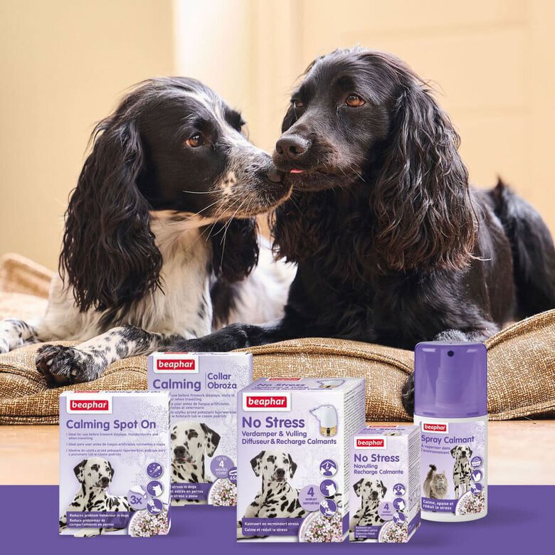 Beaphar Calming spray relaxante para gatos,  Imagem número 5 Beaphar Calming spray relaxante para gatos, , large Imagem número 5