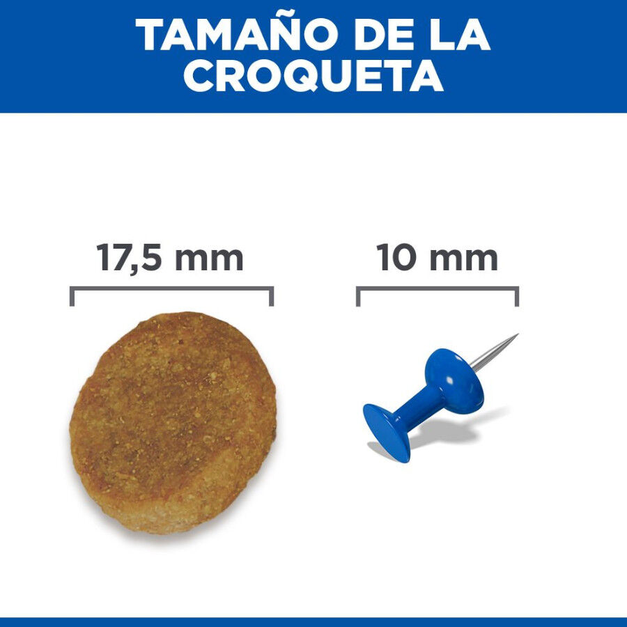 14 kg Hill's Science Plan Mature Adult Large Frango ra&ccedil;&atilde;o para c&atilde;es, , large Imagem n&uacute;mero 9