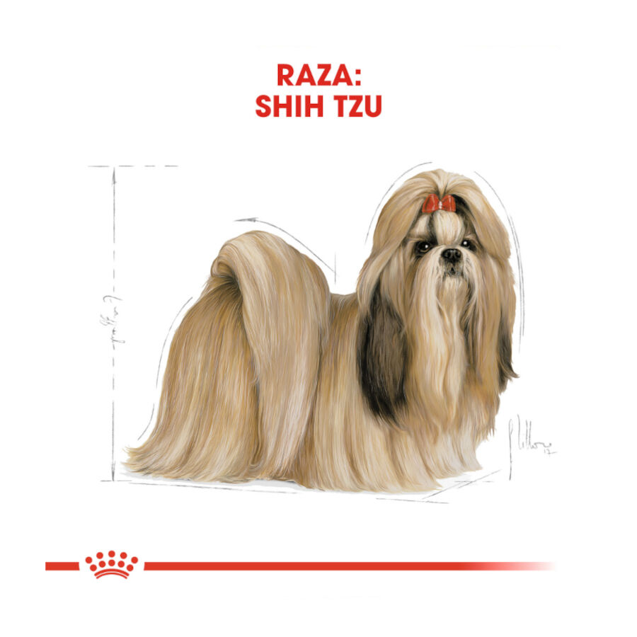 1.5 kg Royal Canin Adult Shih Tzu ra&ccedil;&atilde;o para c&atilde;es, , large Imagem n&uacute;mero 4