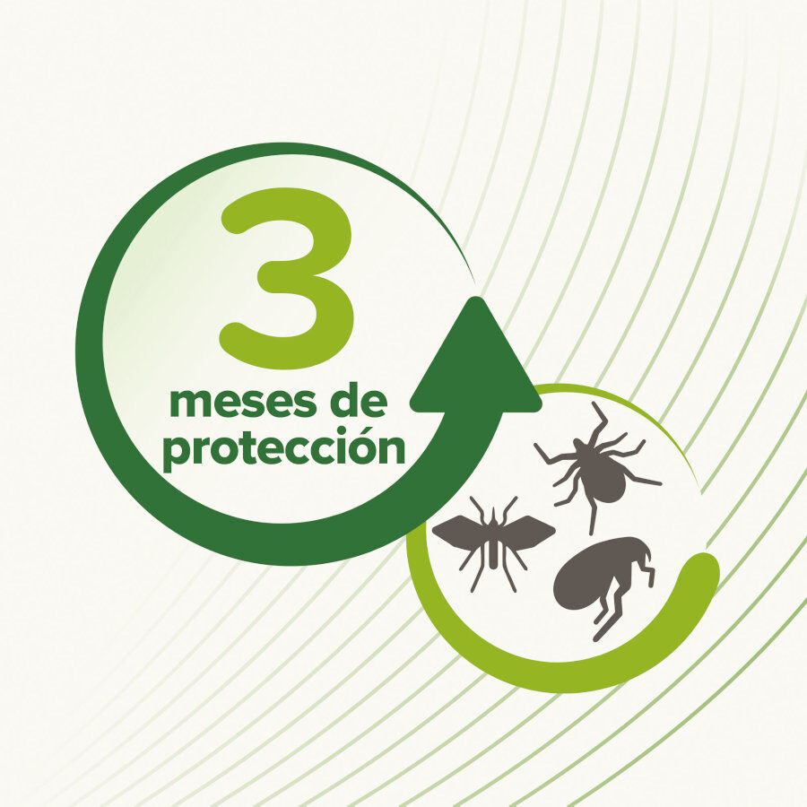 Beaphar Bio Band coleira repelente para gatos, , large Imagem n&uacute;mero 4