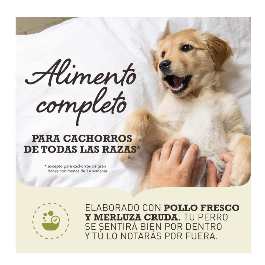 17 kg Acana Puppy Medium ra&ccedil;&atilde;o para c&atilde;es, , large Imagem n&uacute;mero 2