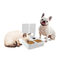 All For Paws Liftstyle4Pets Comedouro Automático Duplo para cães e gatos, , large Indicador imagem número 4