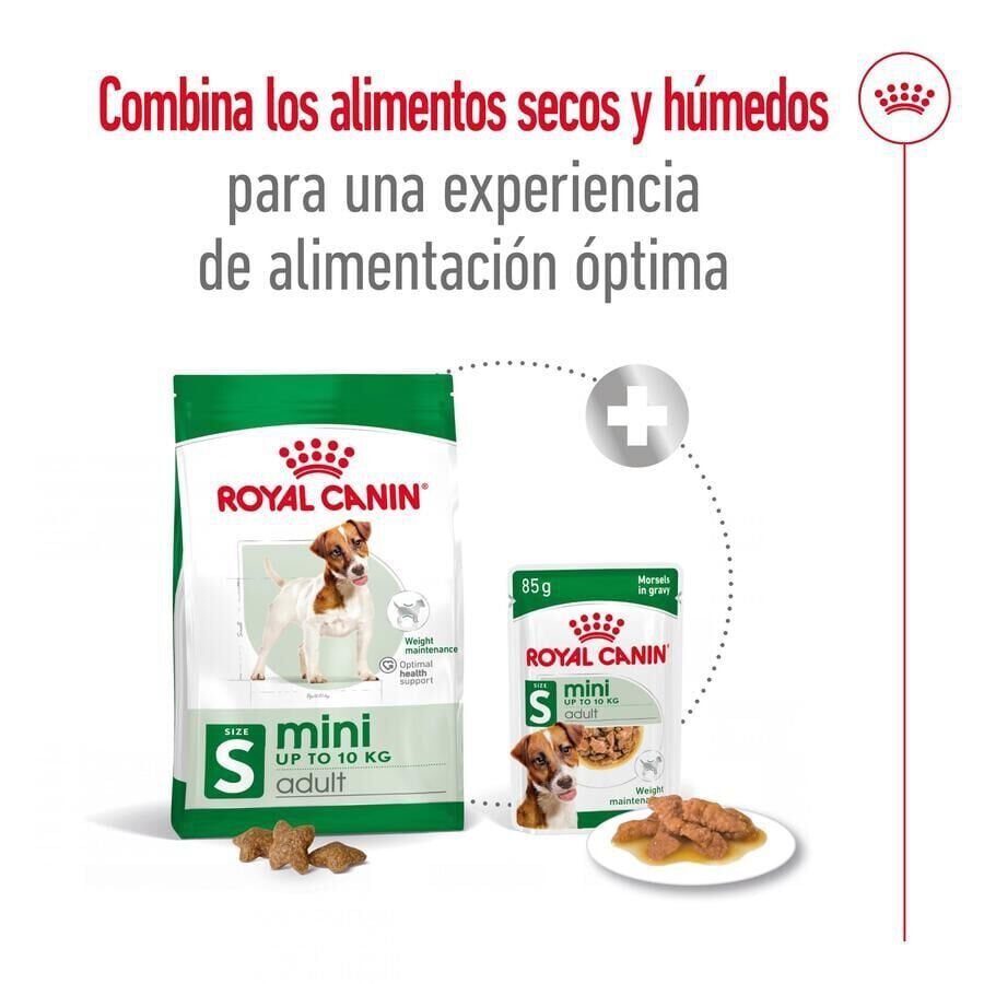 2 x 9 kg ( 8 + 1 kg &iexcl;gr&aacute;tis!) Royal Canin Mini Adult ra&ccedil;&atilde;o para c&atilde;es Pack poupan&ccedil;a!, , large Imagem n&uacute;mero 2