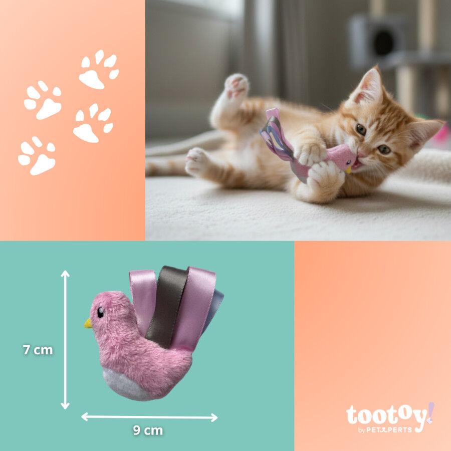 Tootoy! Kitten Peluche P&aacute;ssaro com la&ccedil;o para gatos, , large Imagem n&uacute;mero 4