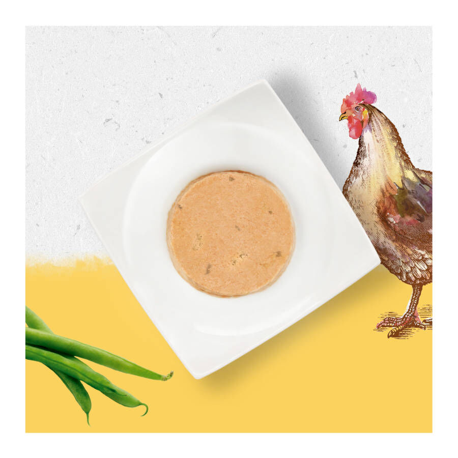 85 g Beyond Grain Free frango lata para gatos, , large Imagem n&uacute;mero 3