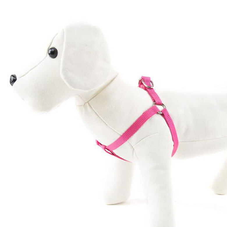 accesorio_perro_nayeco_basic_rosa_arnes_NAYPE68516_M Imagem número 1 Nayeco Basic arnés para perros rosa Imagem número 1