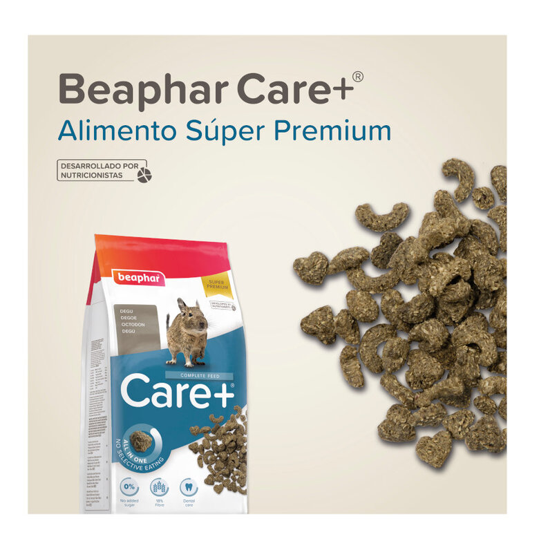 Beaphar Care+ Ração para degus,  Imagem número 8 Beaphar Care+ Ração para degus, , large Imagem número 8