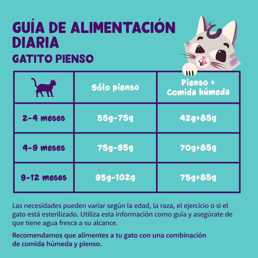 2 kg Edgard & Cooper Kitten Ra&ccedil;&atilde;o de pato e frango para gatinhos , , large Imagem n&uacute;mero 4