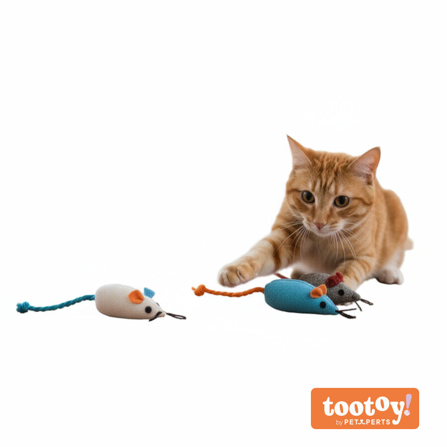 ootoy! Comfort & Relax Brinquedo ratos brulap de corda para gatos, , large Imagem n&uacute;mero 9