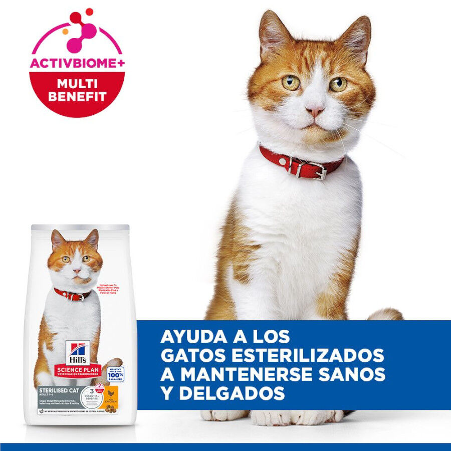 2 x 7 kg Hill's Science Plan Sterilised Adult Frango ra&ccedil;&atilde;o para gatos Pack poupan&ccedil;a!, , large Imagem n&uacute;mero 4