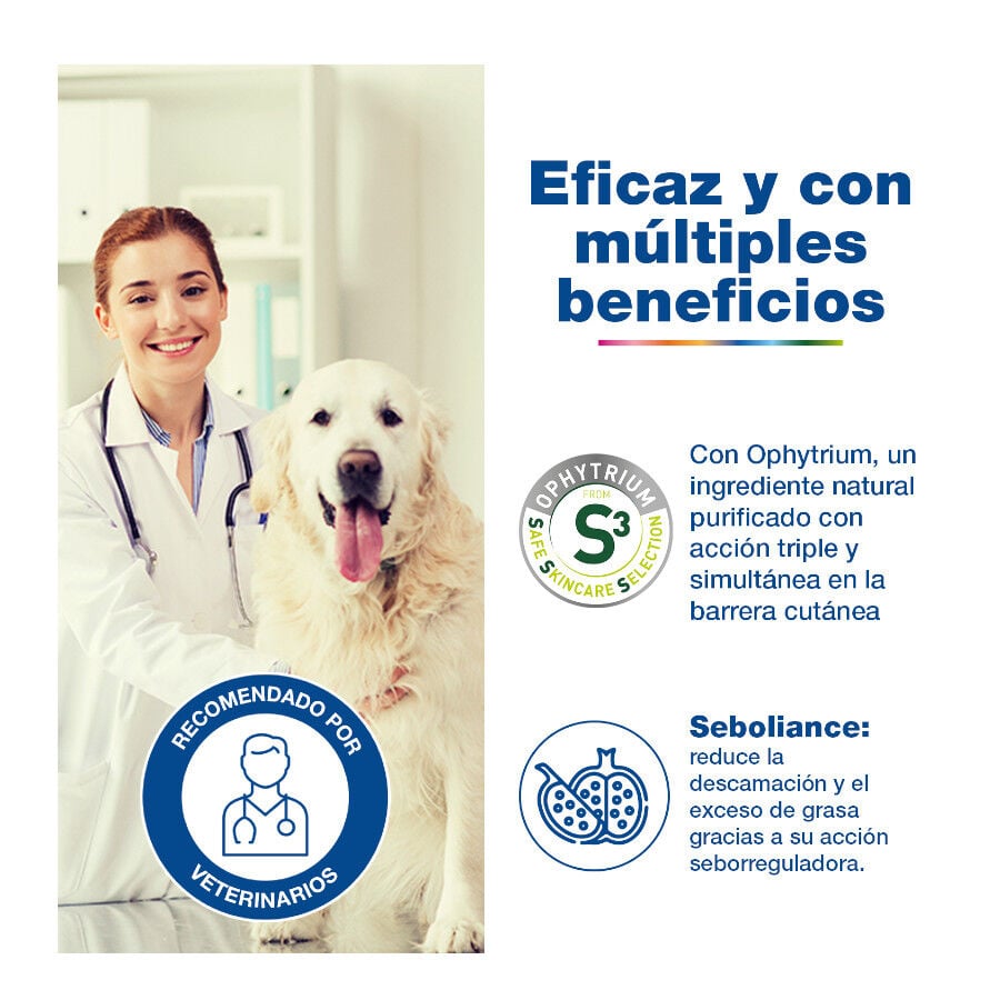 Ceva&nbsp;Douxe Seb Pipetas para animais de estima&ccedil;&atilde;o , , large Imagem n&uacute;mero 3