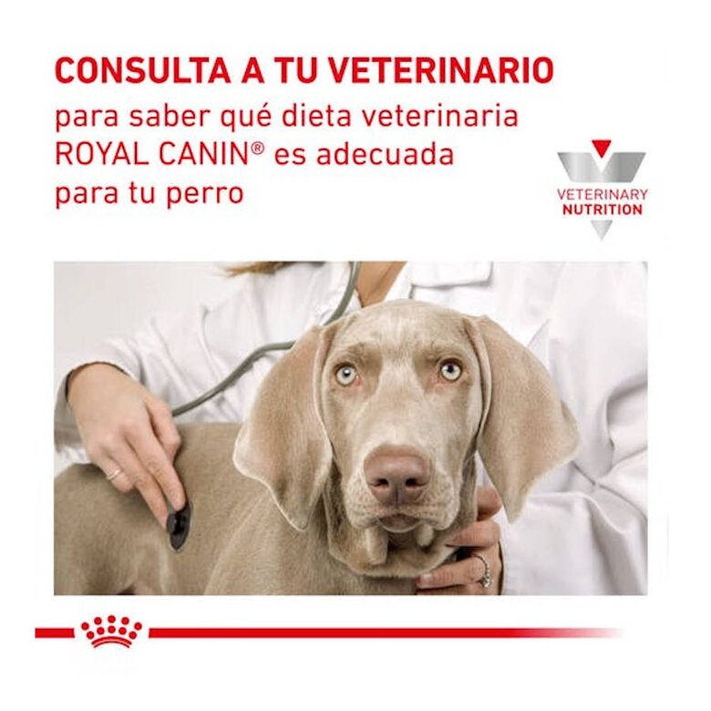 420 g Royal Canin Gastrointestinal Low Fat lata para cães,  Imagem número 8 420 g Royal Canin Gastrointestinal Low Fat lata para cães, , large Imagem número 8