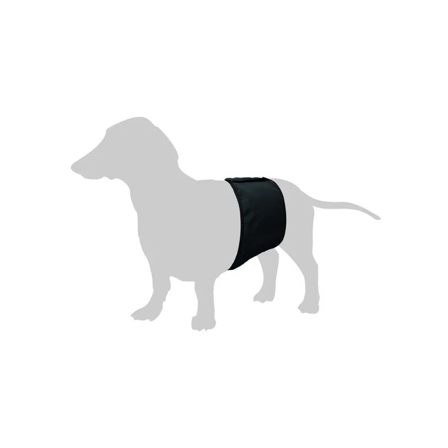 Flamingo fralda lav&aacute;vel para c&atilde;es machos, , large Imagem n&uacute;mero 2