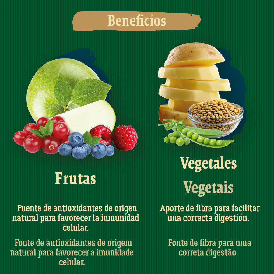 True Origins Wild Golden Coast ra&ccedil;&atilde;o de peixe branco para c&atilde;es, , large Imagem n&uacute;mero 4