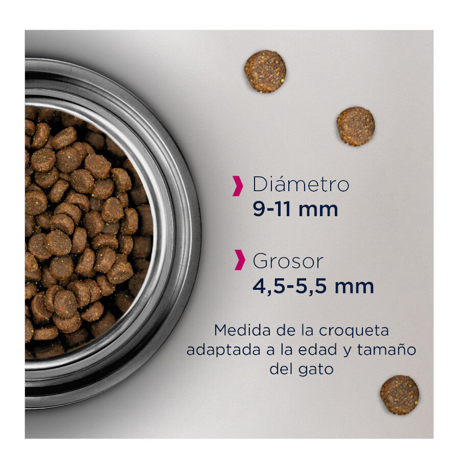 Eukanuba Adult Pollo & H&iacute;gado comida para gatos Imagem n&uacute;mero 2