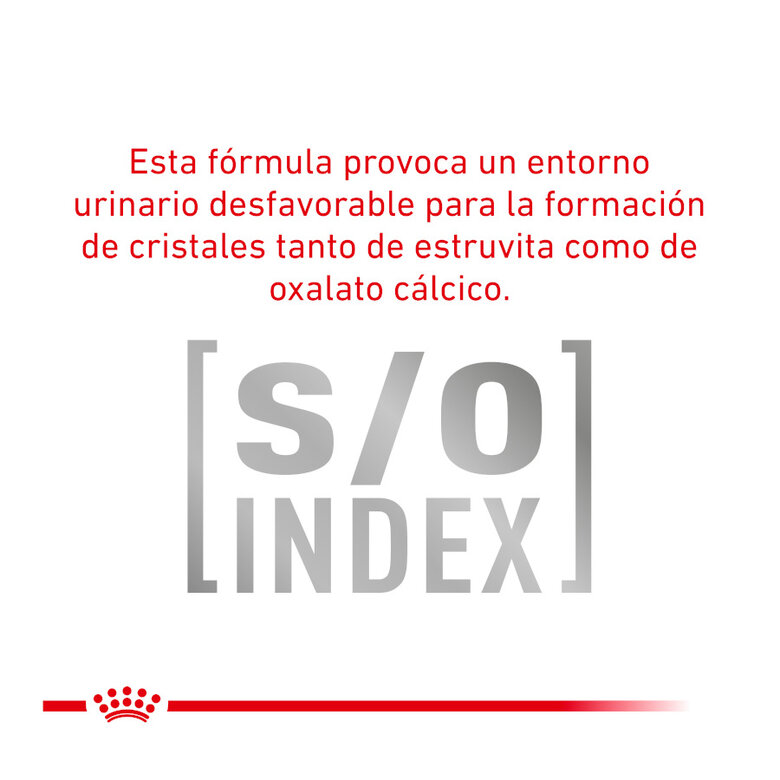 24 saquetas x 85 g Royal Canin Veterinary Urinary Moderate Calorie ração para gatos Pack poupança!,  Imagem número 7 24 saquetas x 85 g Royal Canin Veterinary Urinary Moderate Calorie ração para gatos Pack poupança!, , large Imagem número 7