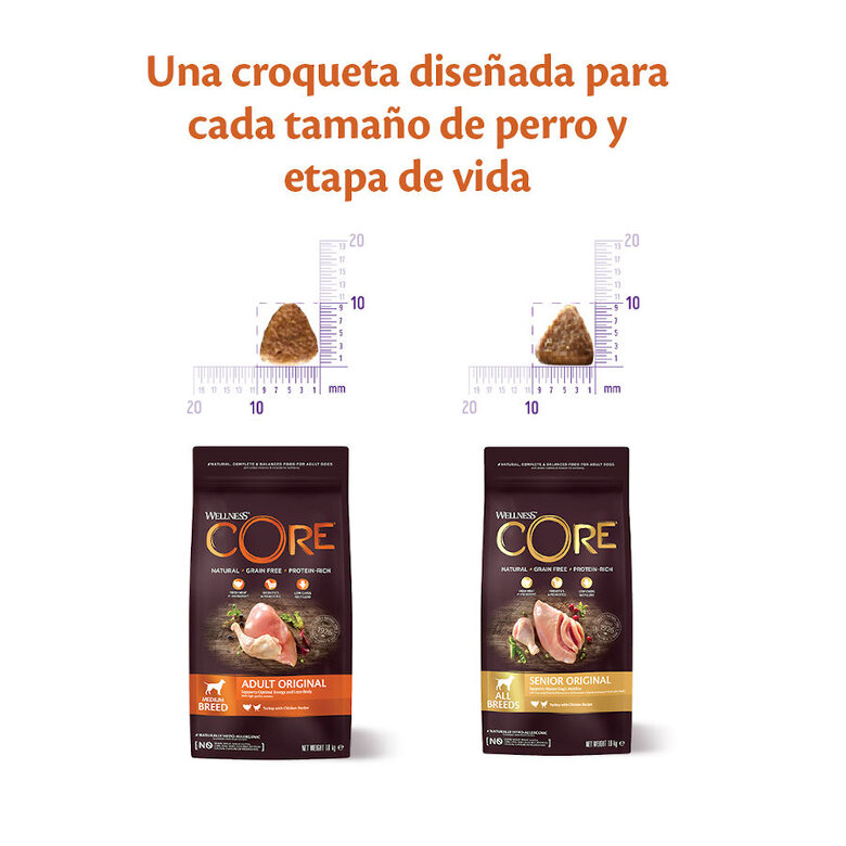 Wellness Core Adult Medium/Large Ocean Salmão e Atum ração para cães , , large image number null