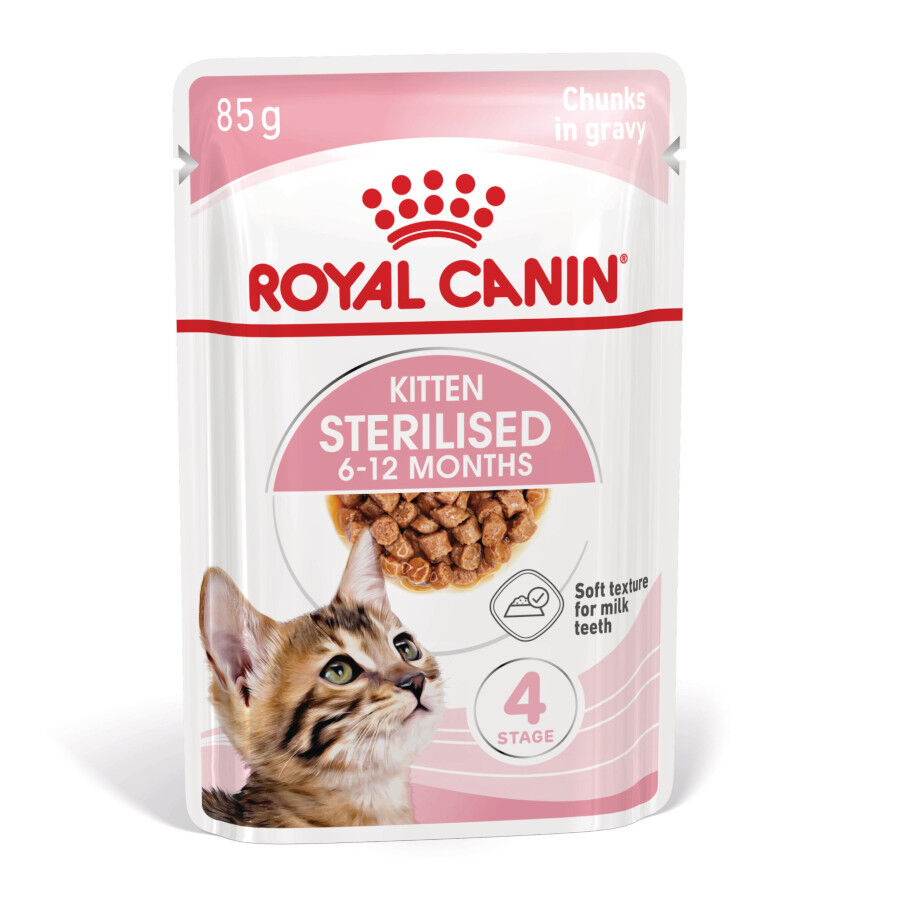 85 g Royal Canin Kitten Sterilised alimento h&uacute;mido em molho saquetas para gatos, , large Imagem n&uacute;mero 2