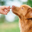 Beaphar Vermipure Repelente Interno Natural em comprimidos para cães de porte médio e grande, , large Indicador imagem número 6