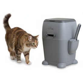 All For Paws Go Fresh Selador de caixa de areia preto para gatos