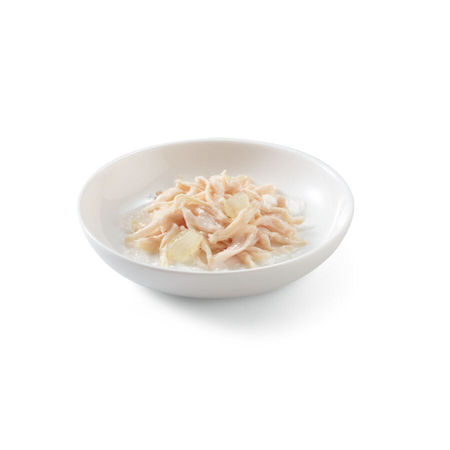 85 g Schesir Kitten Frango com Alo&eacute; lata para gatos, , large Imagem n&uacute;mero 2