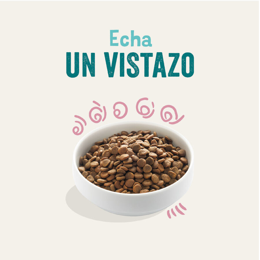 Edgard & Cooper ra&ccedil;&atilde;o Pato e Frango para cachorros, , large Imagem n&uacute;mero 2