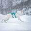 Non-stop Dogwear Peitoral Longo Azul e Verde para c&atilde;es, , large Indicador imagem n&uacute;mero 2