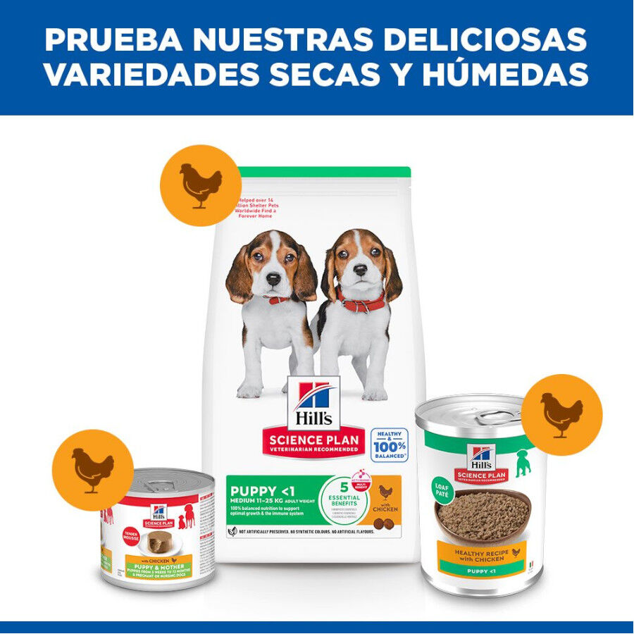 370 g Hill's Puppy Science Plan Frango lata, , large Imagem n&uacute;mero 6