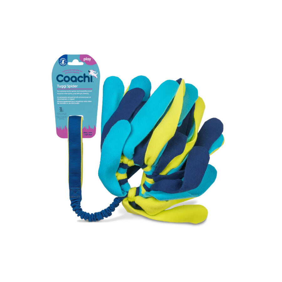 Coachi Tuggi Spider brinquedo para c&atilde;es, , large Imagem n&uacute;mero 2