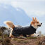 Non-stop dogwear Fjord Capa de chuva impermeável preta para cães, , large Indicador imagem número 3