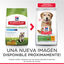 Hill's Small y Mini Adult +7 Science Plan Youthful Vitality Frango ração para cães, , large Indicador imagem número 4