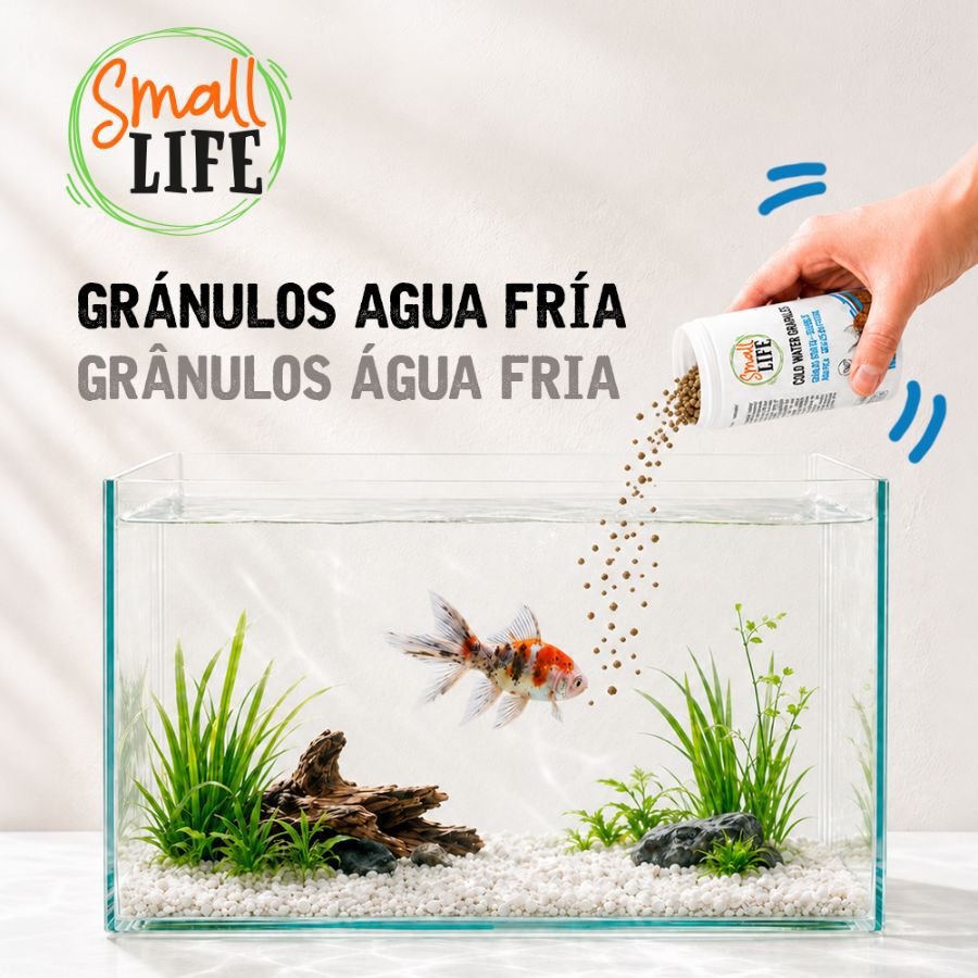 100 ml Small Life Gr&aacute;nulos Agua Fria Alimento para peces, , large Imagem n&uacute;mero 4