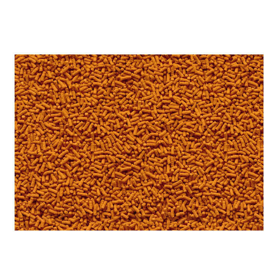 Tetra Pond Colour Sticks para peixes, , large Imagem n&uacute;mero 2