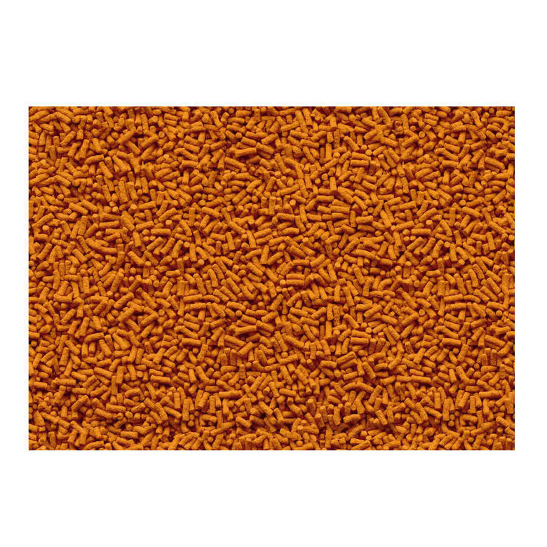 Tetra Pond Colour Sticks para peixes,  Imagem número 2 Tetra Pond Colour Sticks para peixes, , large Imagem número 2