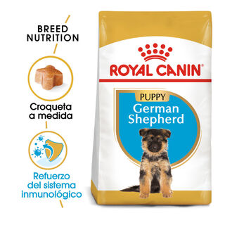 Royal Canin Puppy Pastor Alemão ração para cães