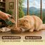 70 g True Origins Wild Comida h&uacute;mida de Atum com Camar&otilde;es para gatos, , large Indicador imagem n&uacute;mero 3