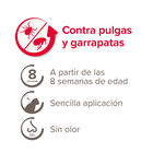 Beaphar Firprotec Spot em pipetas antiparasitárias para gatos, , large image number null