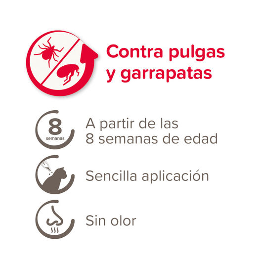 Beaphar Firprotec Spot em pipetas antiparasitárias para gatos, , large image number null