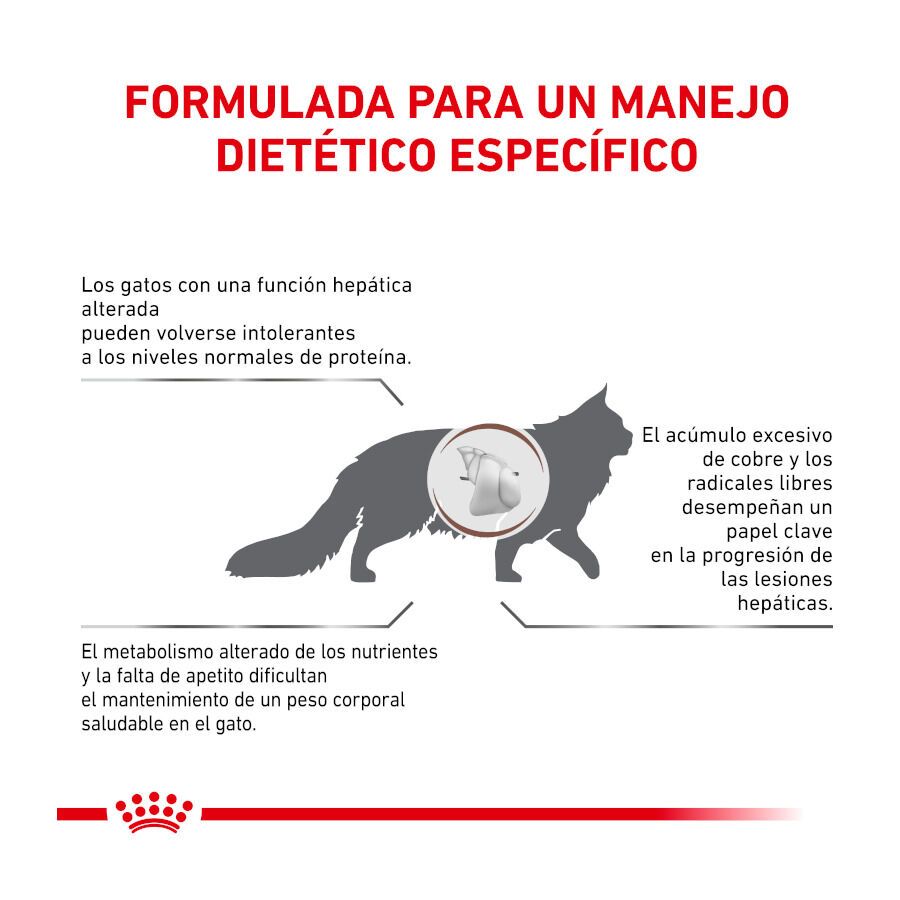 4 kg Royal Canin Veterinary Hepatic ra&ccedil;&atilde;o para gatos , , large Imagem n&uacute;mero 5