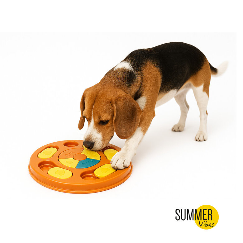 Brinquedo interativo Summer Vibes Orange para cães,  Imagem número 2 Brinquedo interativo Summer Vibes Orange para cães, , large Imagem número 2