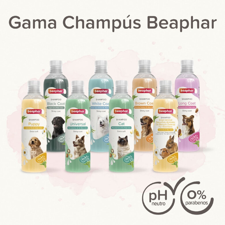 Beaphar Universal Champô para cães , , large image number null