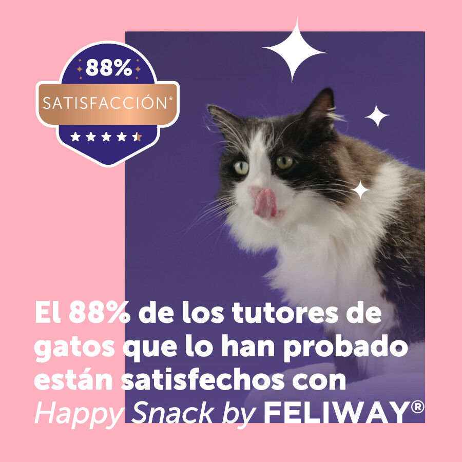 6 barritas Feliway Ceva Happy Snacks de Salm&atilde;o para gatos, , large Imagem n&uacute;mero 4