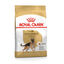 15 kg Royal Canin Digestive Ra&ccedil;&atilde;o para c&atilde;es pastor alem&atilde;o, , large Indicador imagem n&uacute;mero 1