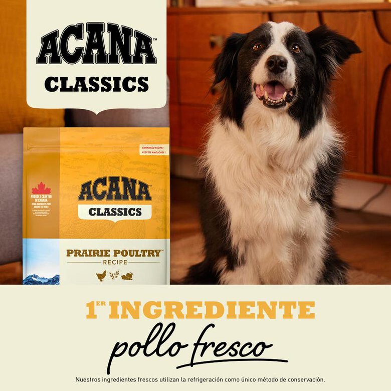 14.5 kg Acana Classics Prairie Poultry Frango ração para cães,  Imagem número 2 14.5 kg Acana Classics Prairie Poultry Frango ração para cães, , large Imagem número 2